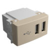 Módulo de 2 puertos USB