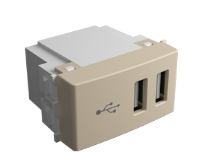 Módulo de 2 puertos USB