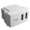 Módulo de 2 puertos USB
