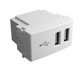 Módulo de 2 puertos USB