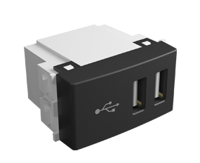 Módulo de 2 puertos USB